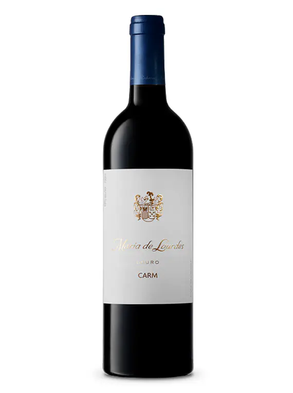 CARM Maria de Lurdes Tinto