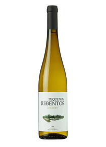 Pequenos Rebentos Loureiro