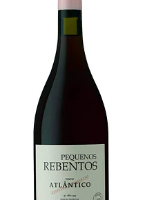 Pequenos Rebentos Tinto Atlantico