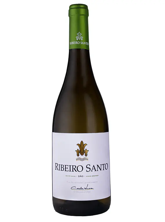 Ribeiro Santo Branco