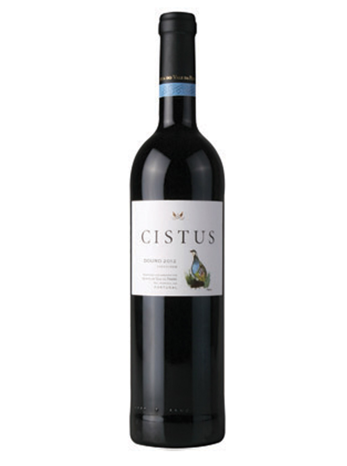 Cistus Tinto
