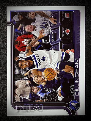  Rob Dillingham base card