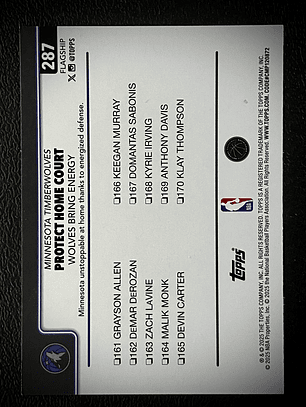 Anthony Edwards base card