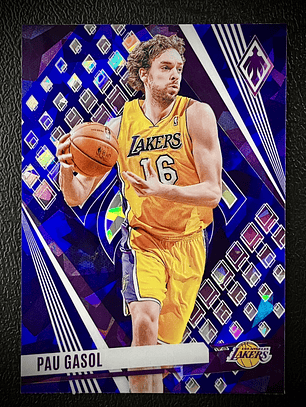 Pau Gasol-parallel card