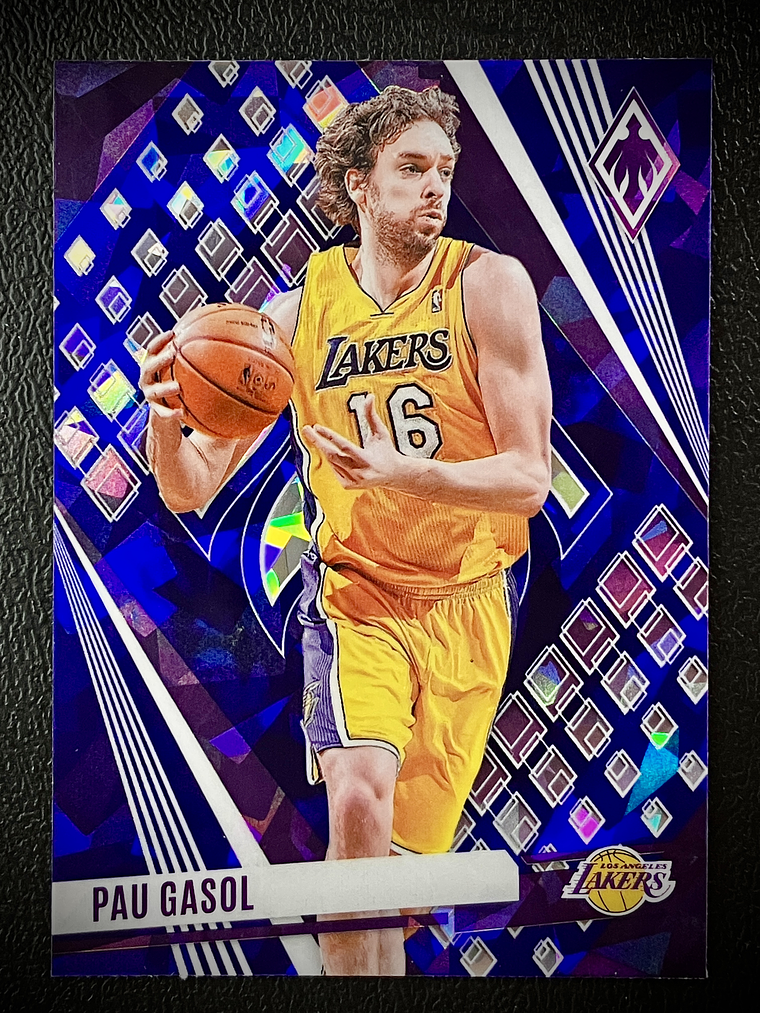 Pau Gasol-parallel card 1