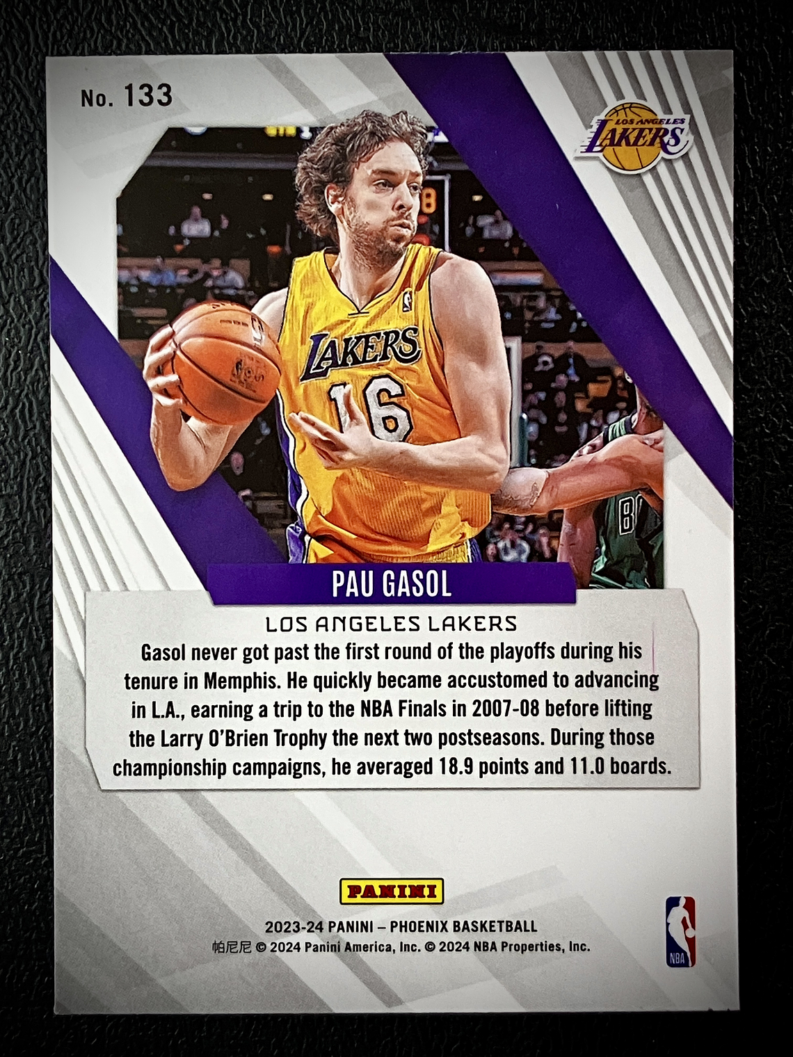 Pau Gasol-parallel card 2