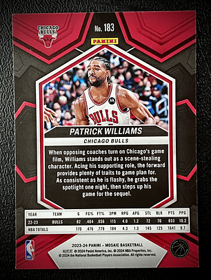 Patrick Williams-base card