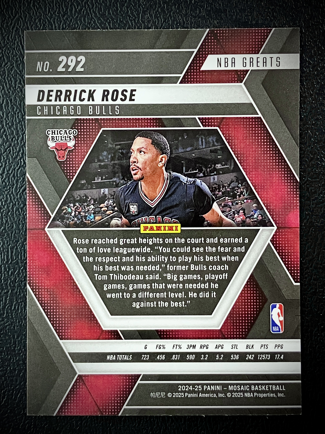 Derrick Rose Sport Card  2
