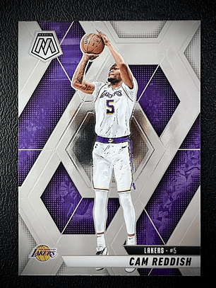 Cam Reddish Sport Card 