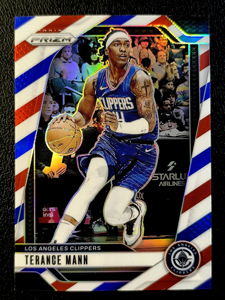 Terance Mann 1