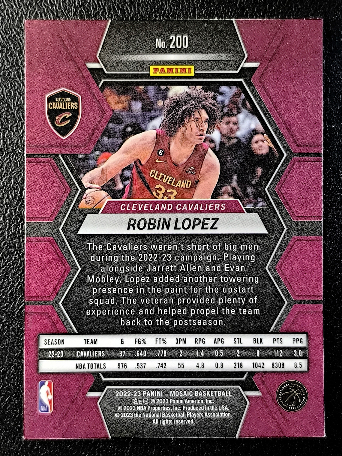 Robin Lopezv 2