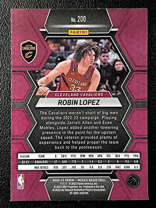Robin Lopezv
