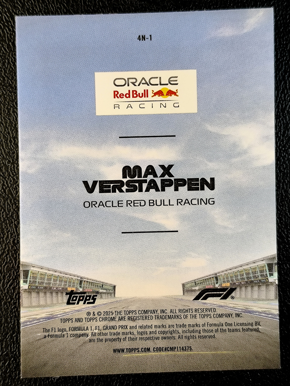 Max Verstappen 2