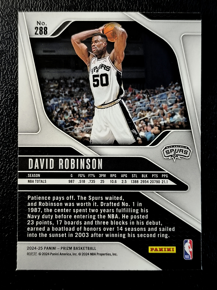 David Robinson 2