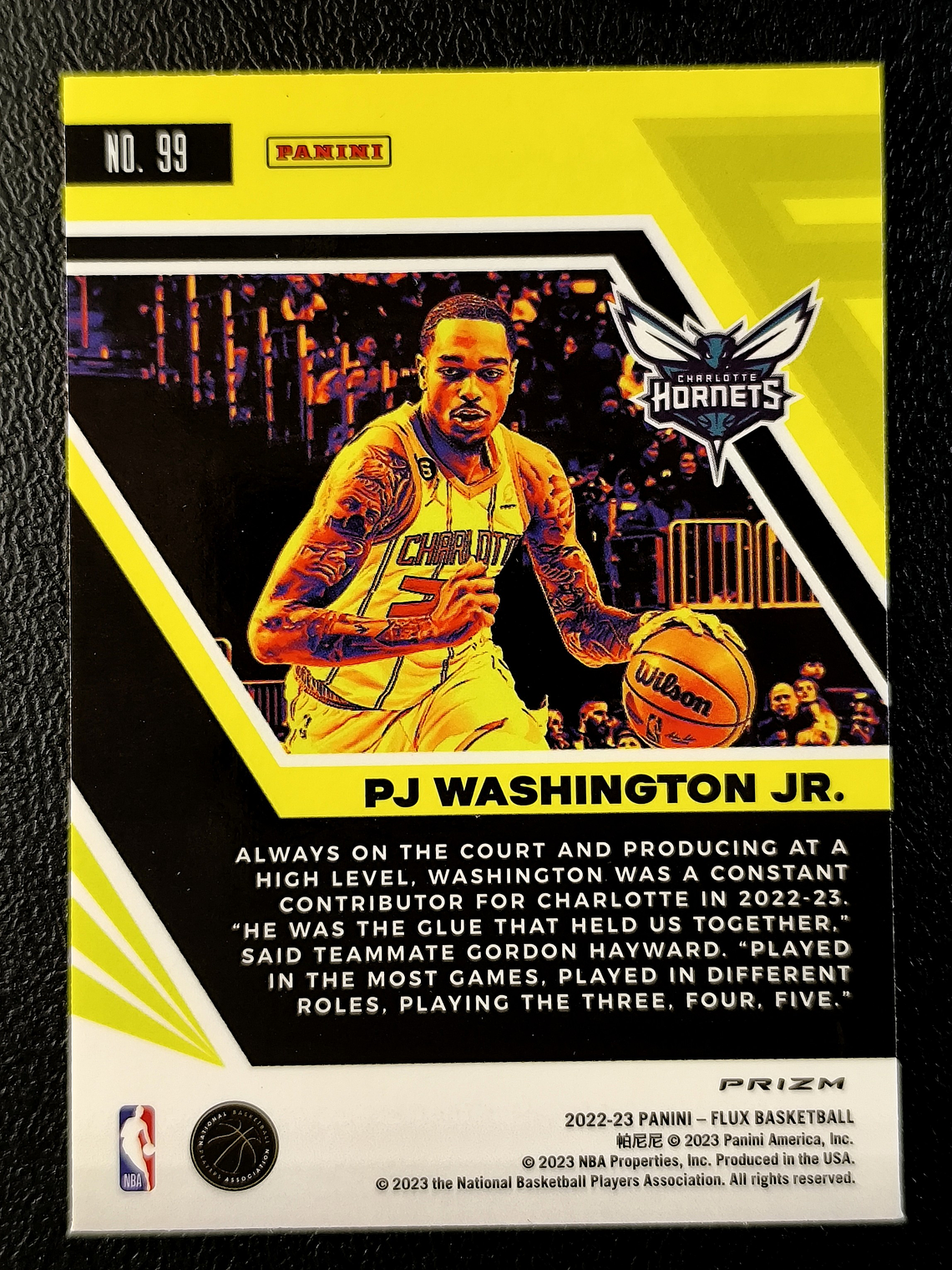 PJ Washington Jr. 2