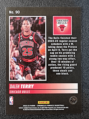 Dalen Terry/Pinnacle