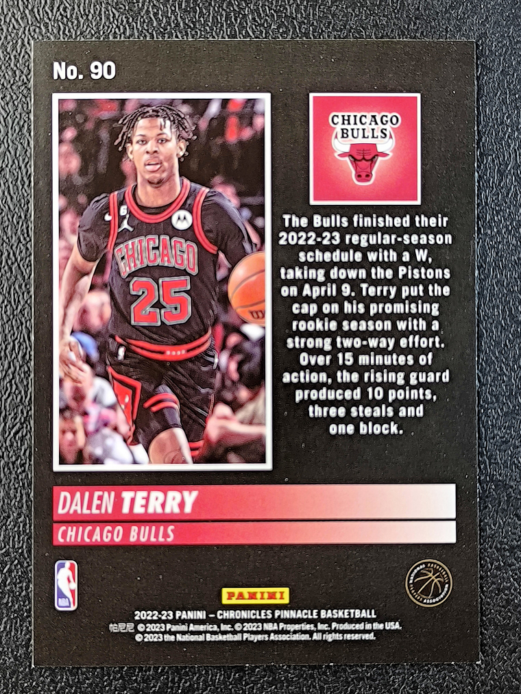 Dalen Terry/Pinnacle 2