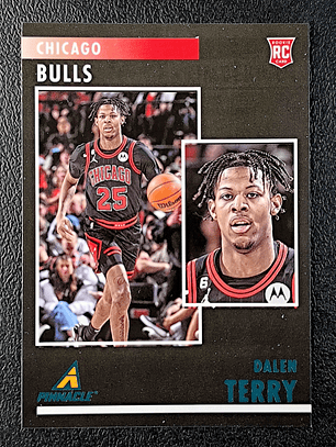 Dalen Terry/Pinnacle