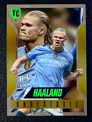 Erling Haaland/Unbeatable