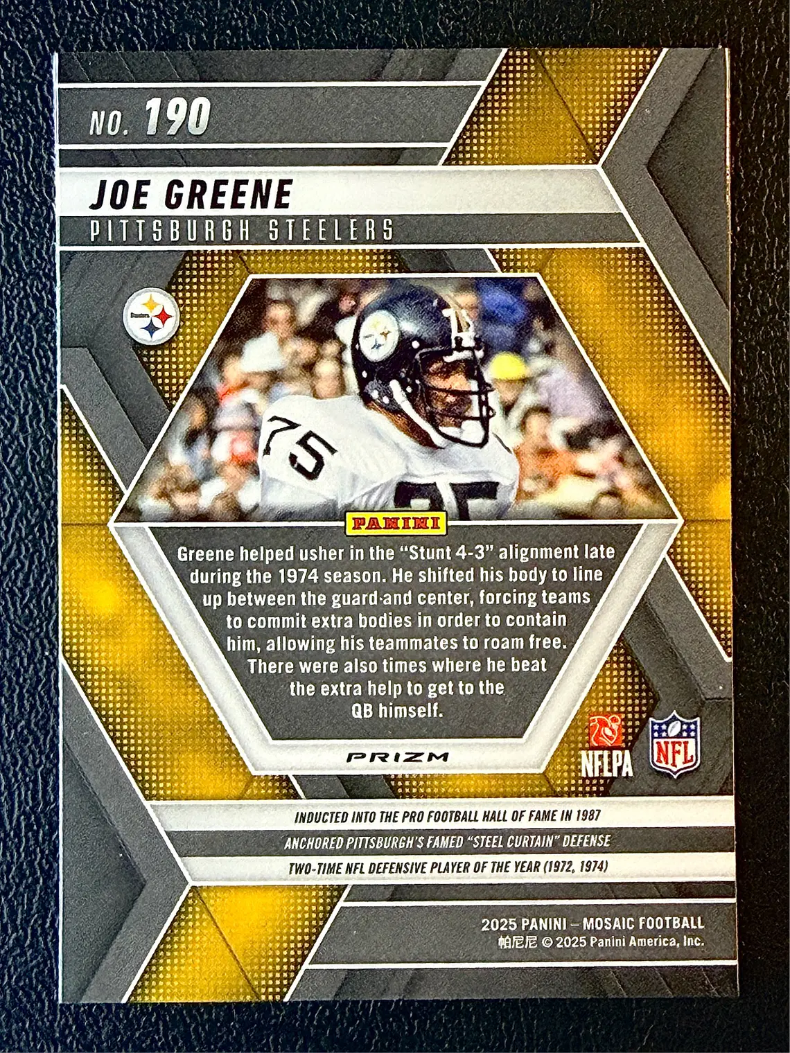 Joe Greene 2