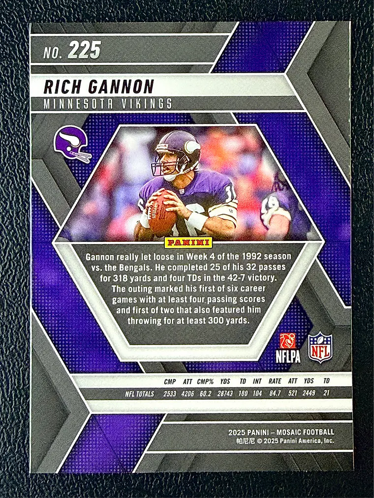 Rich Gannon 2
