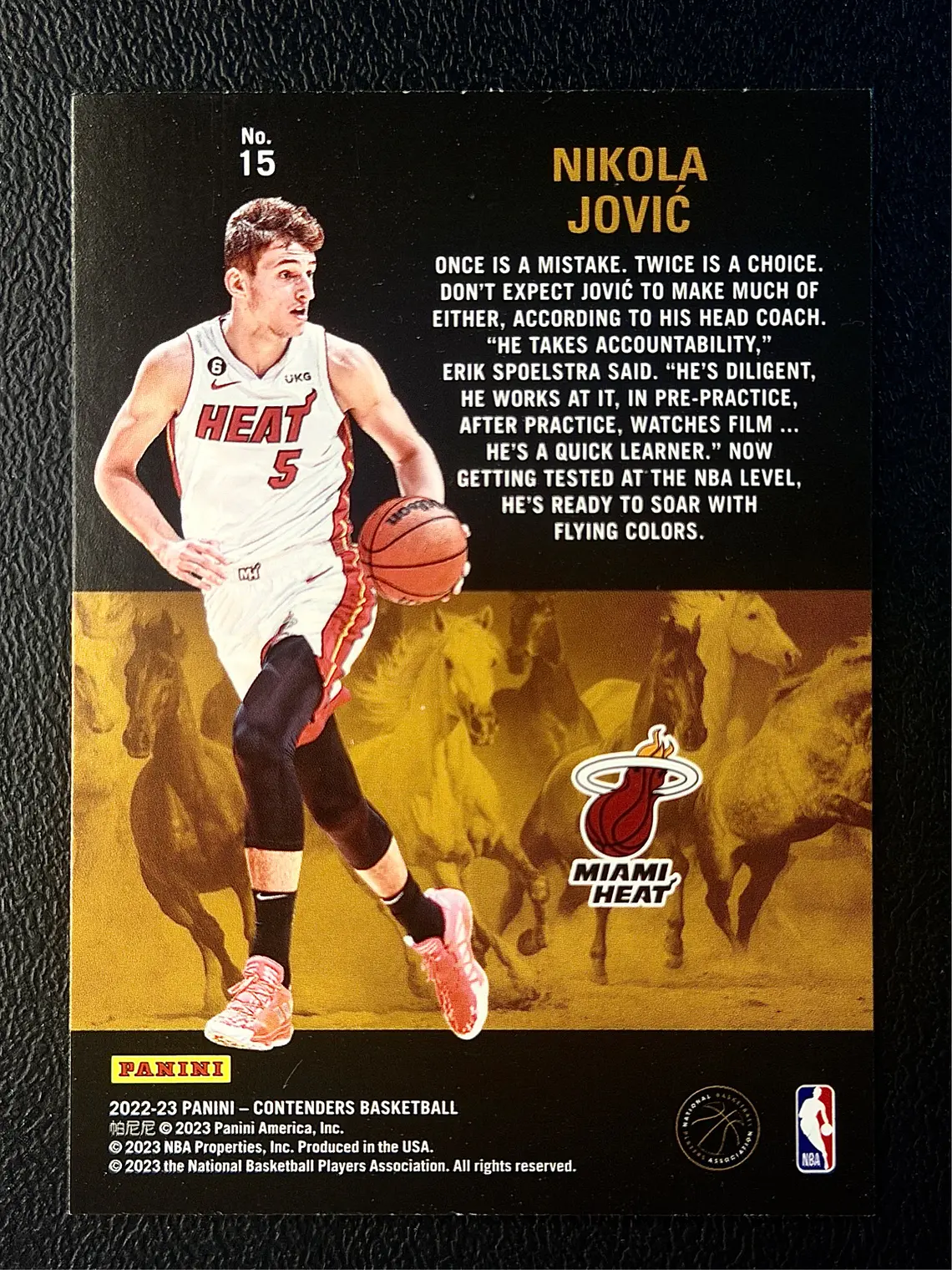Nikola Jovic 2