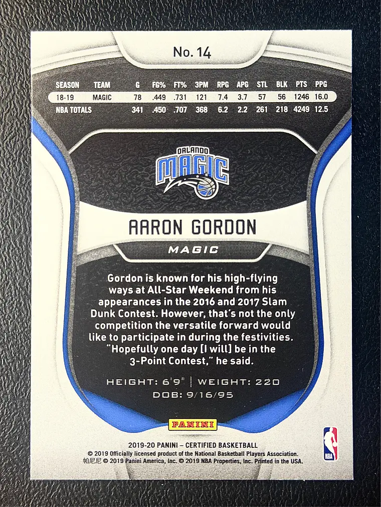 Aaron Gordon 2
