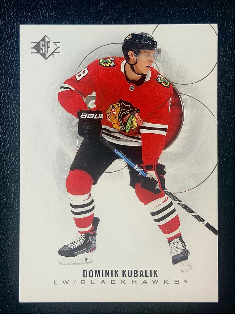 Dominik Kubalik 1