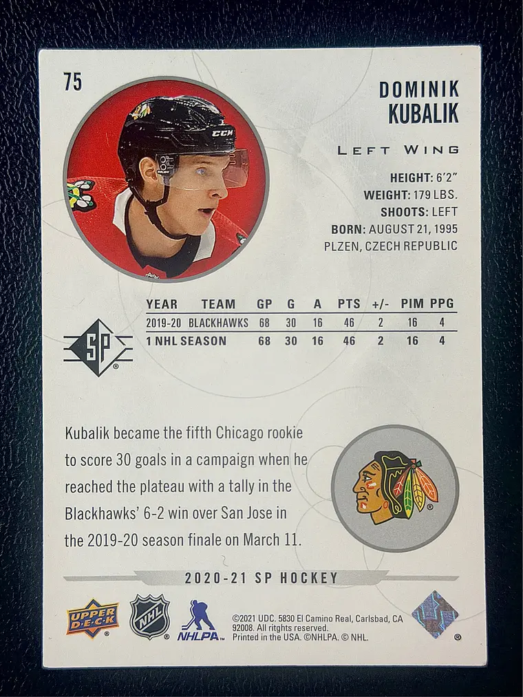 Dominik Kubalik 2