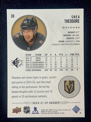 Shea Theodore