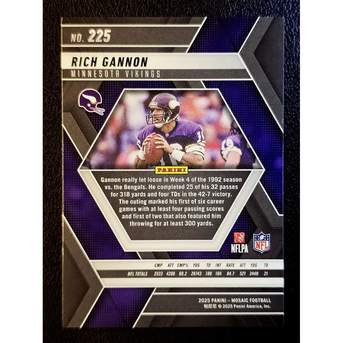  Rich Gannon 2