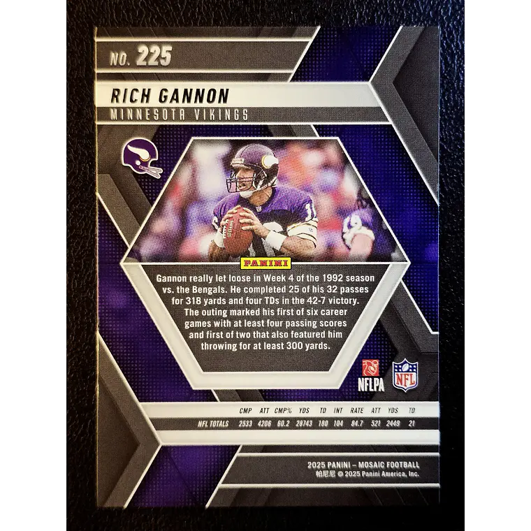  Rich Gannon 2