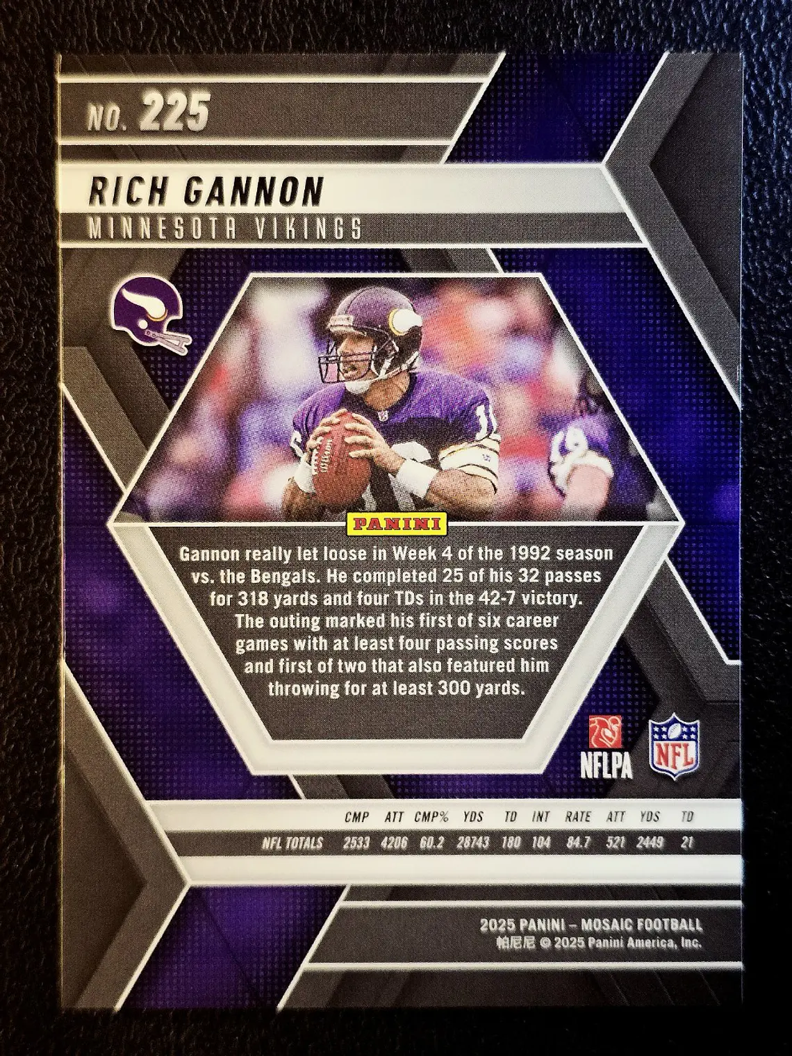  Rich Gannon 2
