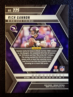  Rich Gannon