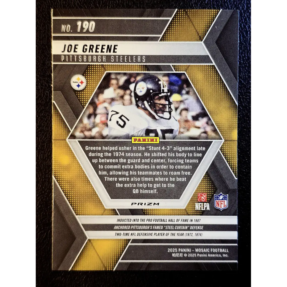 Joe Greene 2