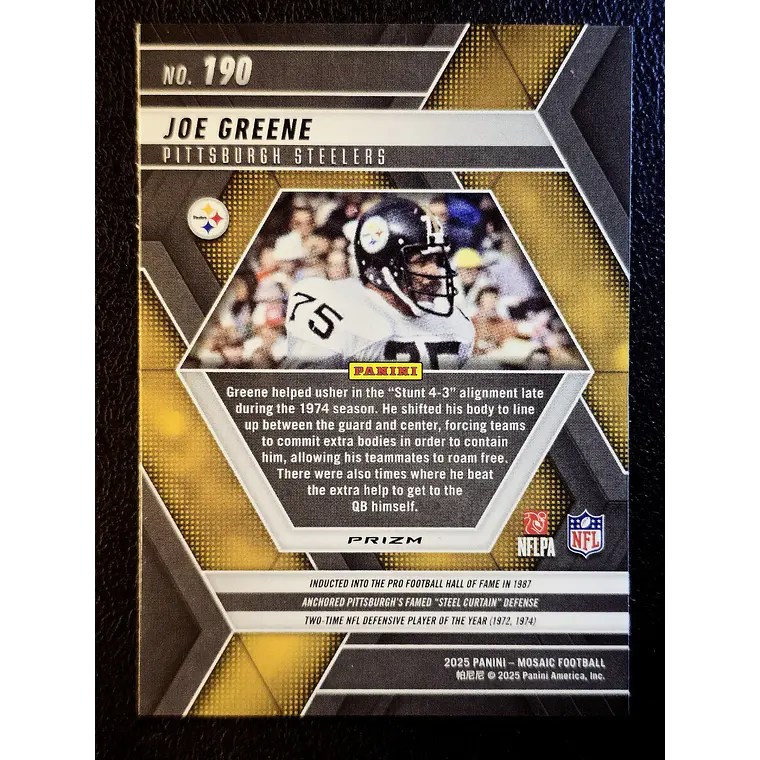 Joe Greene 2