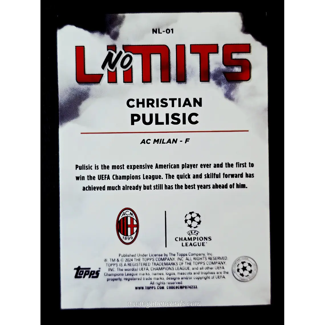 Christian Pulisic 2