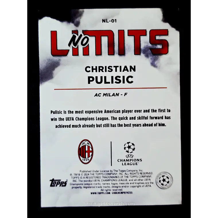 Christian Pulisic 2