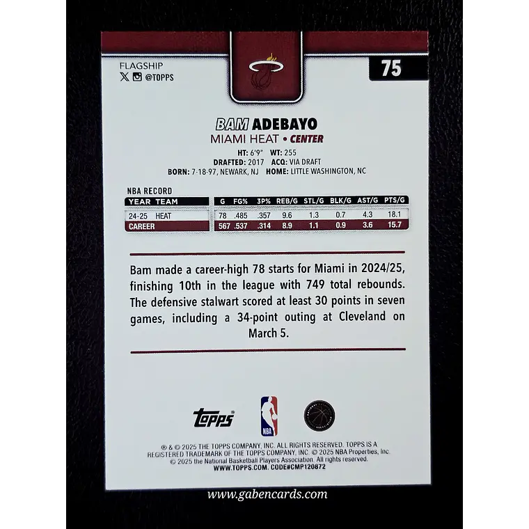 Bam Adebayo 2
