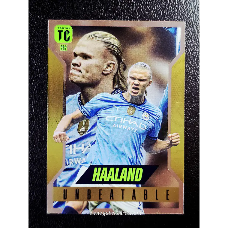 Erling Haaland/Unbeatable 1