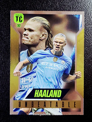 Erling Haaland/Unbeatable