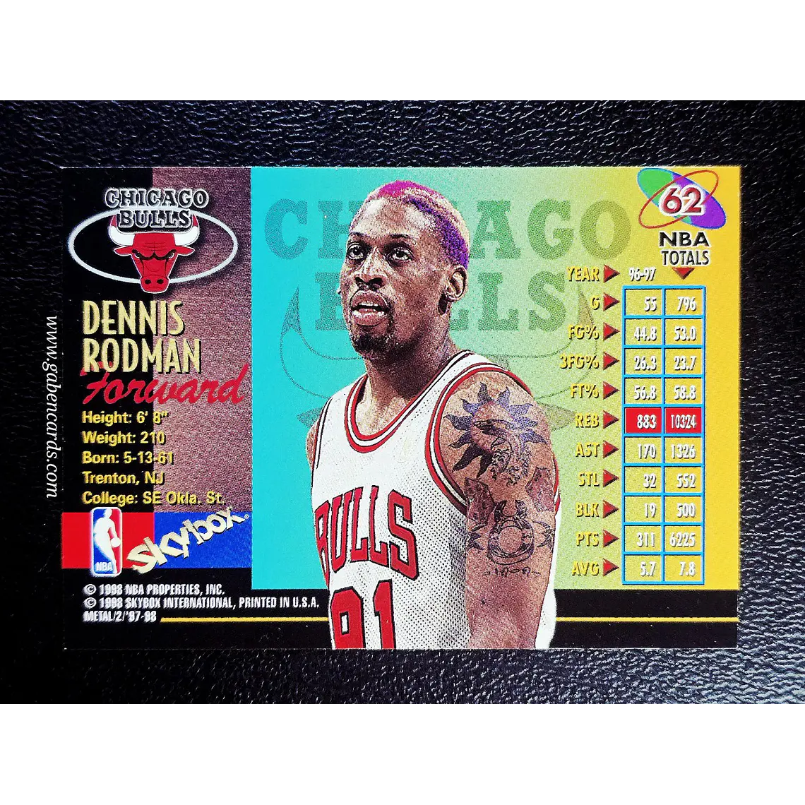 Dennis Rodman 2