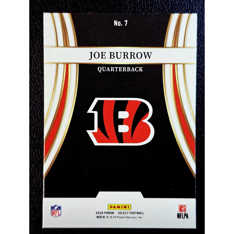 Joe Burrow 2