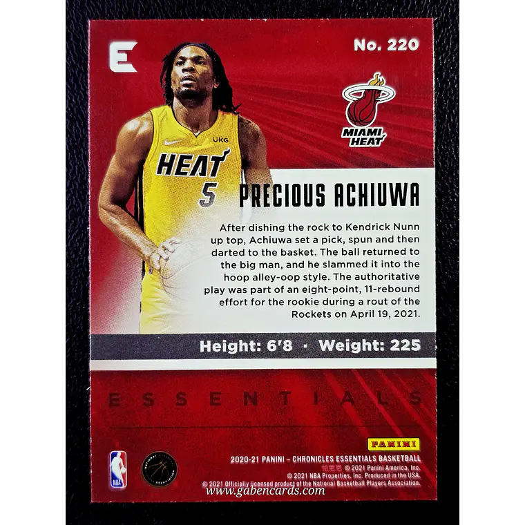 Precious Achiuwa/Essentials 2