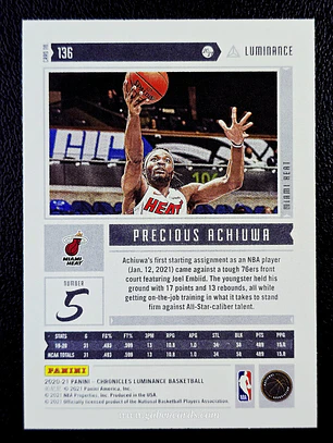 Precious Achiuwa/Luminance