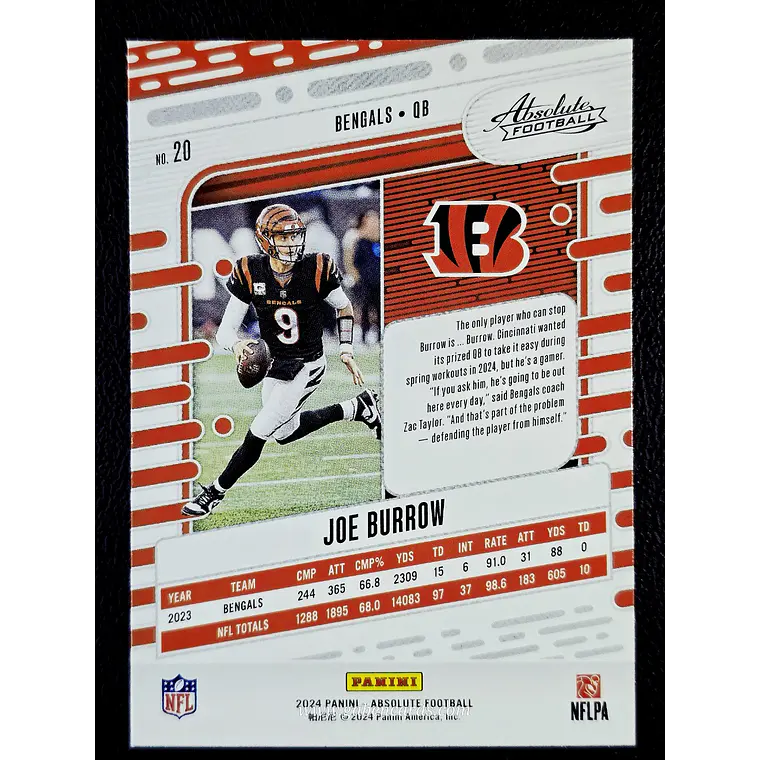 Joe Burrow 2