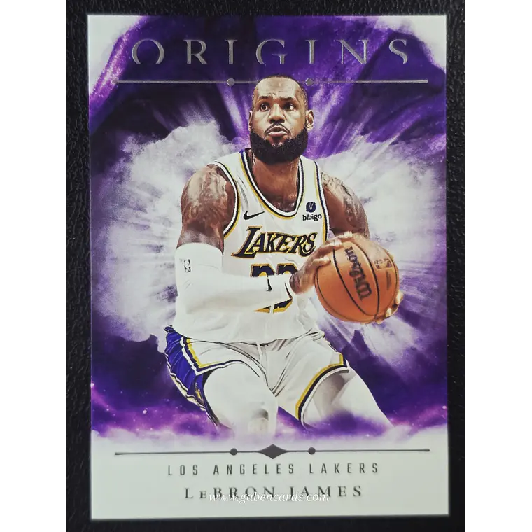 LeBron James 1