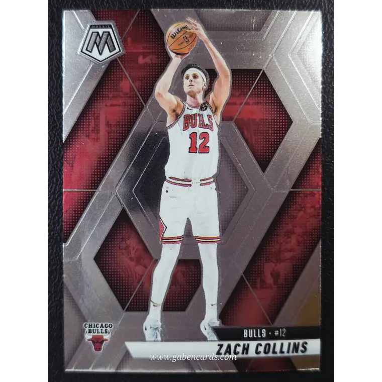 Zach Collins 1