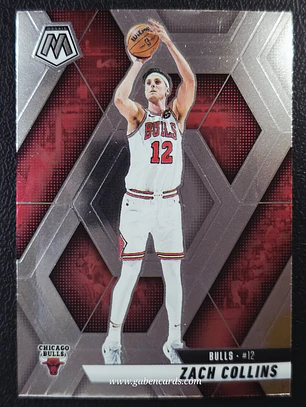 Zach Collins