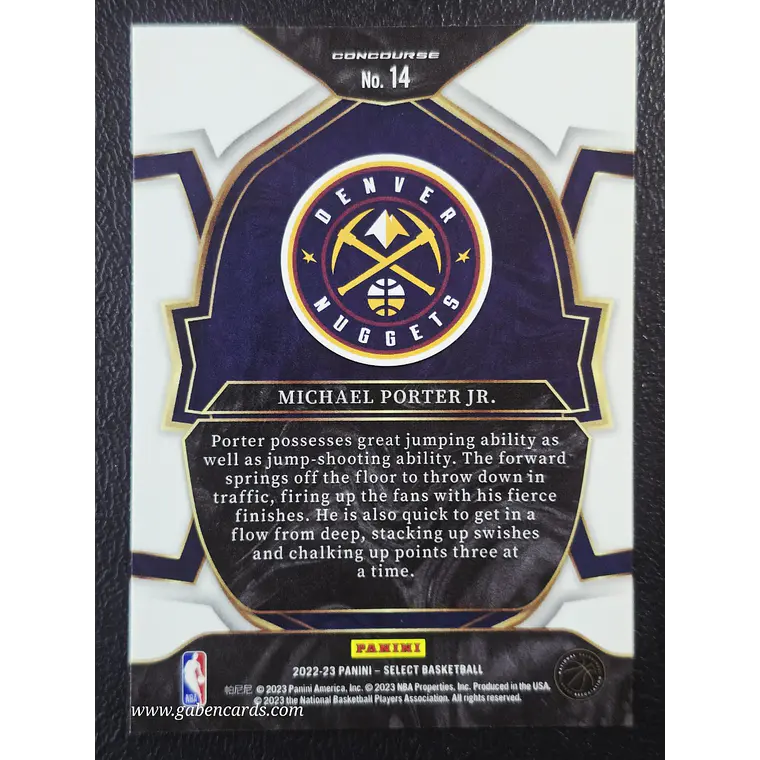 Michael Porter Jr. 2